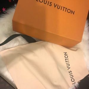 Lv multi pochette accessories